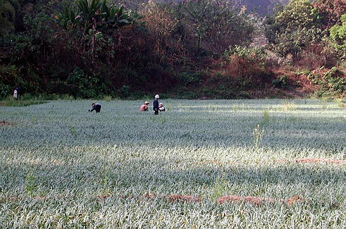 Auf dem Weg nach Mae Hong Son