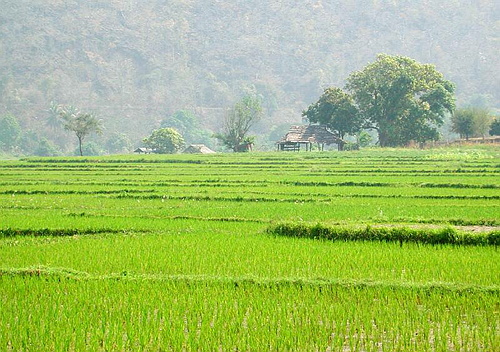 Auf dem Weg nach Mae Hong Son