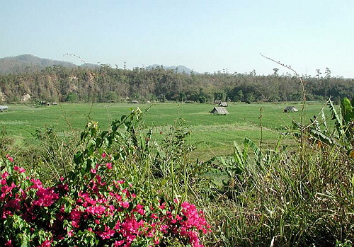 Auf dem Weg nach Chiang Mai